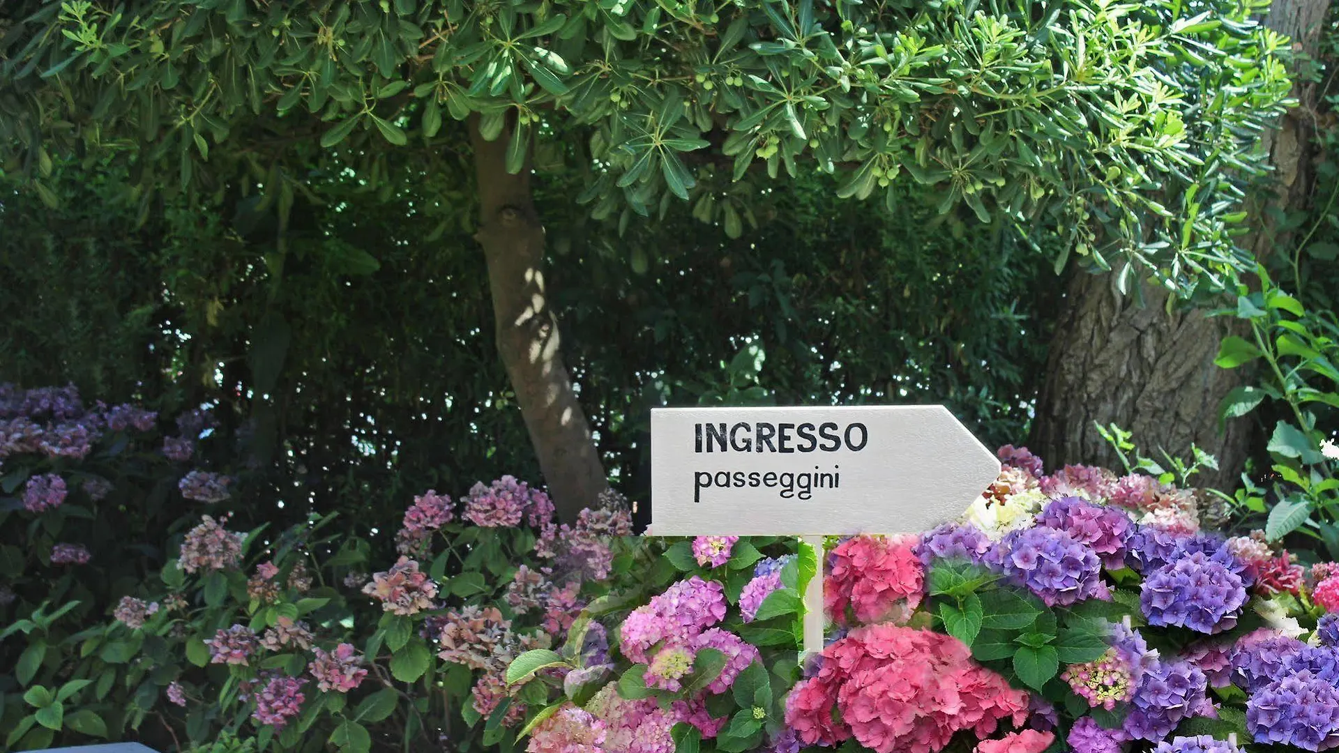 Hotel President Cattolica